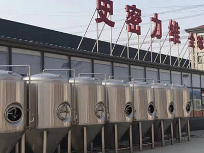 永嘉精酿啤酒设备厂—如何判断精酿啤酒设备的密封件需要更换？